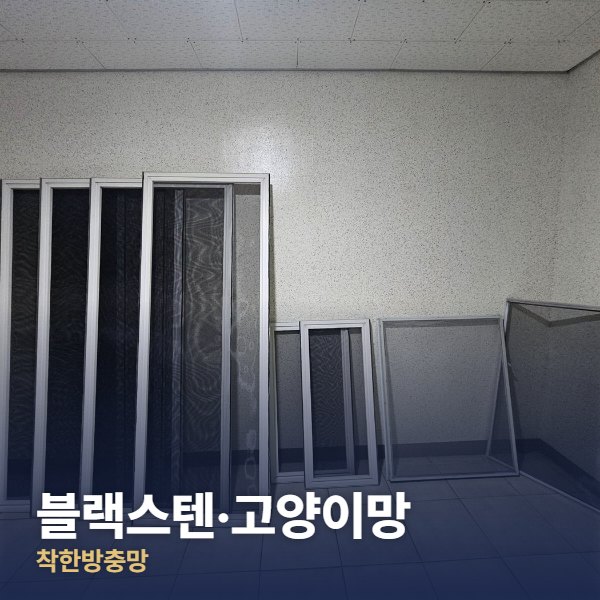 포천 블랙스텐·고양이망