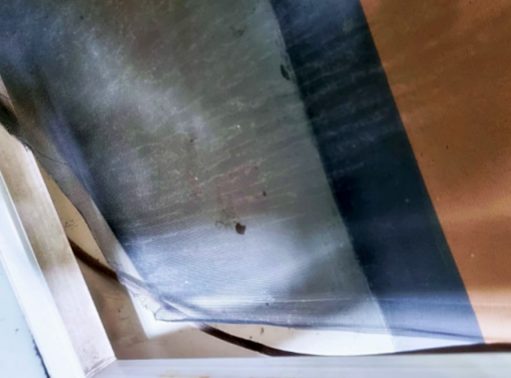 포천 소흘읍 방충망 교체 시공 사진 6